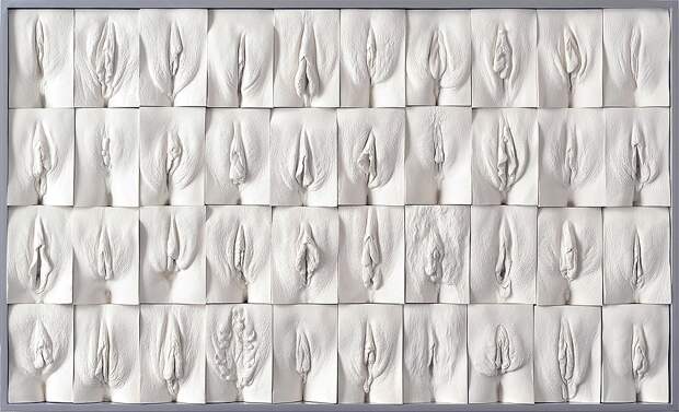 Британский художник выставляет панно из слепков женских гениталий  искусство, люди, маразм