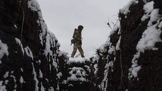 ВСУ атаковали Васильевский зоопарк в Запорожской области