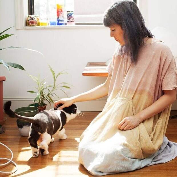 Брайан Виллс, Brianne Wills, девушки со своими котами, девушки с кошками которых они приютили