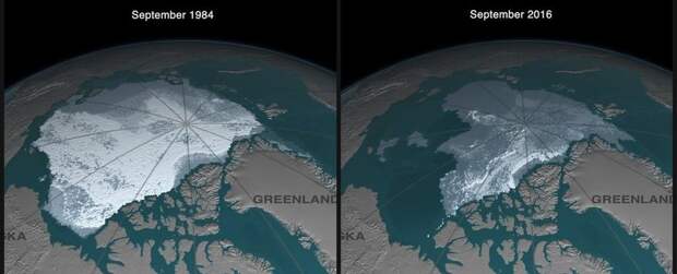 Наглядное сравнение размеров ледяного покрова Арктики в 1984 и 2016 го