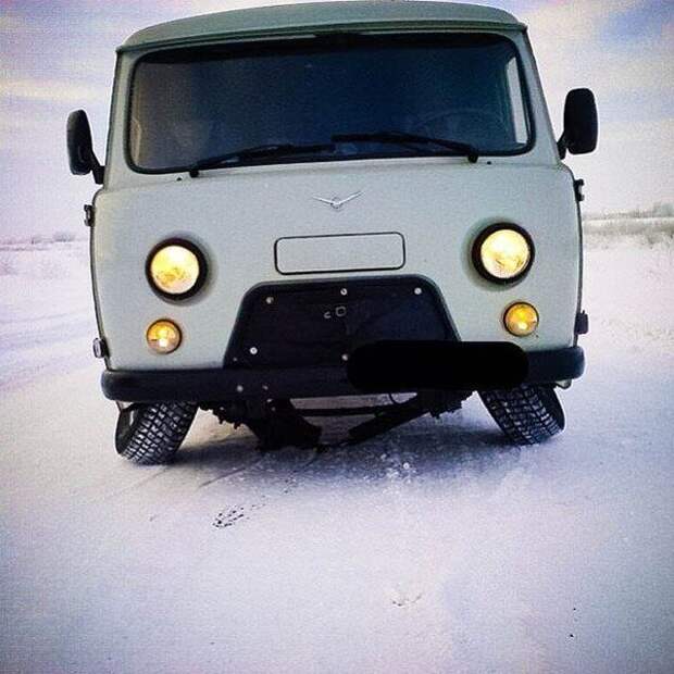 Прикольные картинки Прикольные картинки