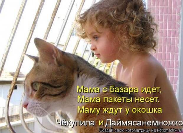 Котоматрица на Бугаге (37 фото)