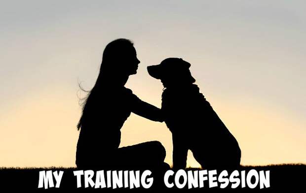 TrainingConfession