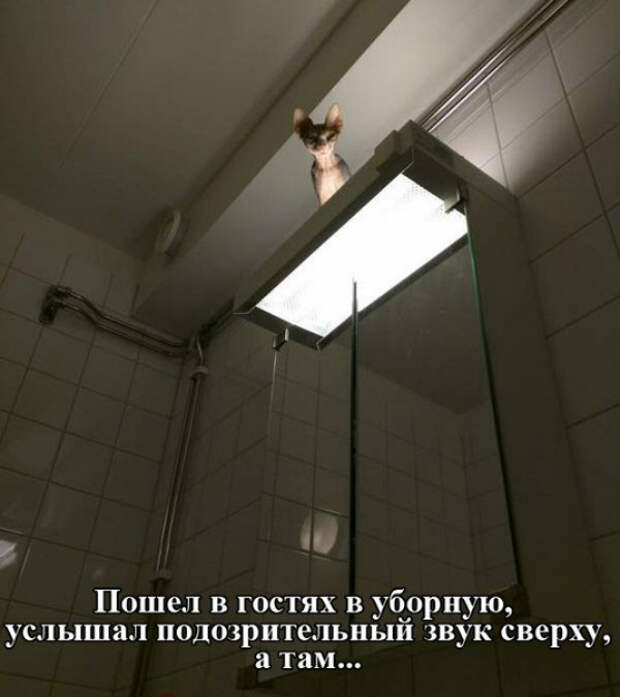 3627670_original (600x675, 211Kb)