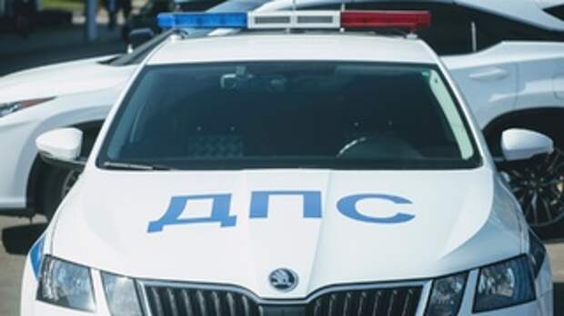 Автомобиль Госавтоинспекции / Фото: amic.ru