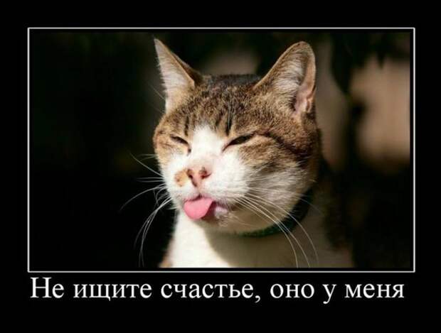 Демотиваторы (30 фото)