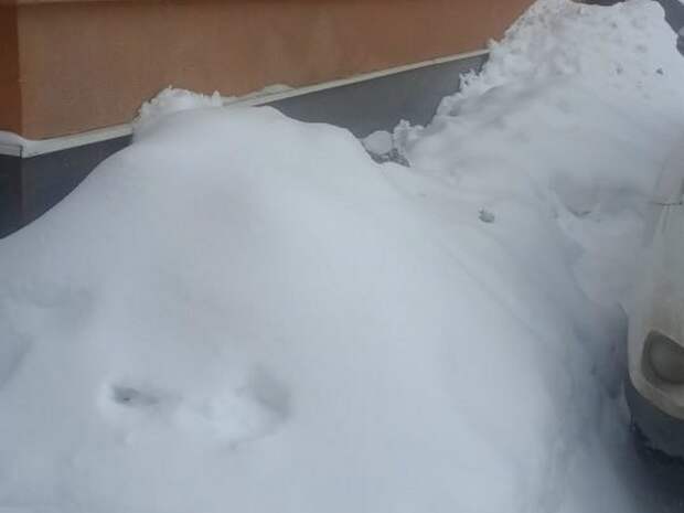 Госжилинспекция проверила уборку дворов и крыш в Советском районе Рязани