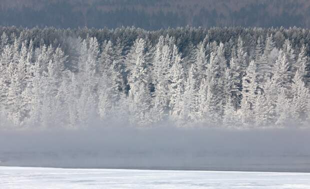 Поисковики назвали наиболее вероятную причину пропажи семьи Усольцевых