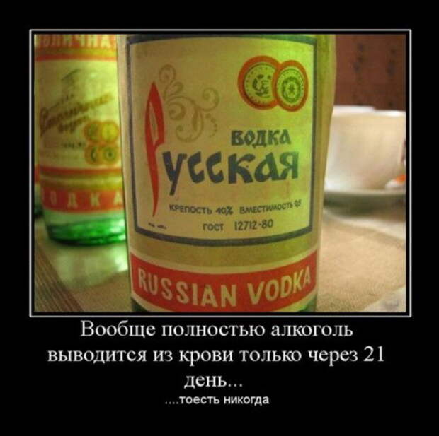 Новенькие демотиваторы, много.