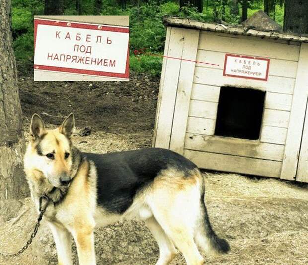 Юмор каждый день