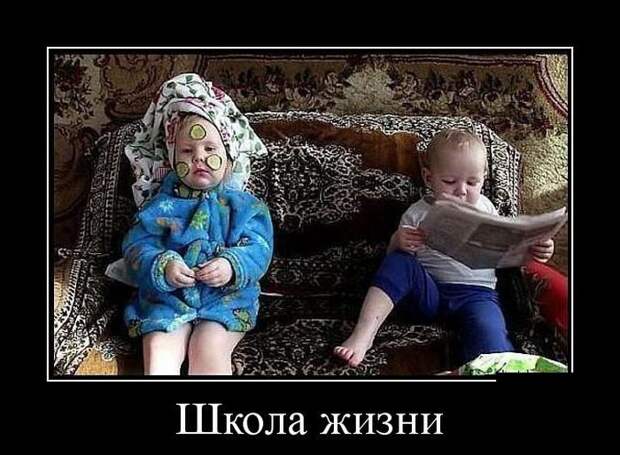 Школа жизни демотиватор, юмор