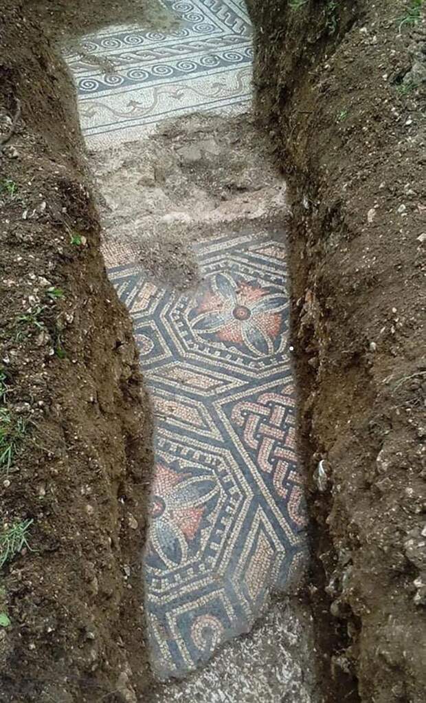 Древнеримский мозаичный пол найден под виноградником
