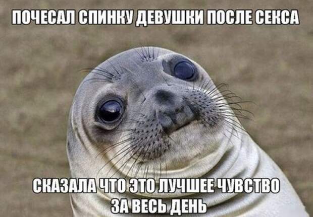 Пятничные картинки с приколами (35 шт)