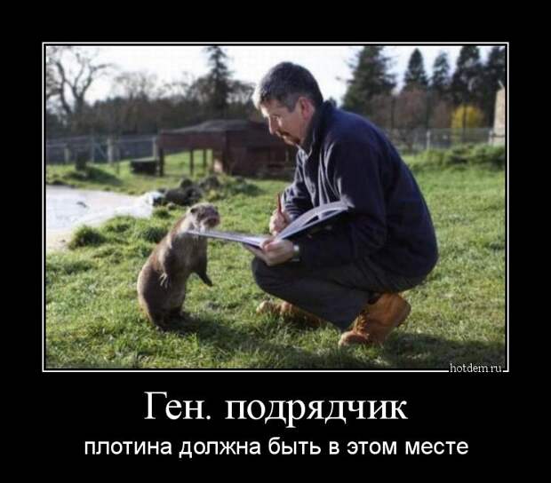 Демотиваторы  демотиваторы, прикол, смех, юмор