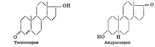 Формулы - тестостерон и андростерон 