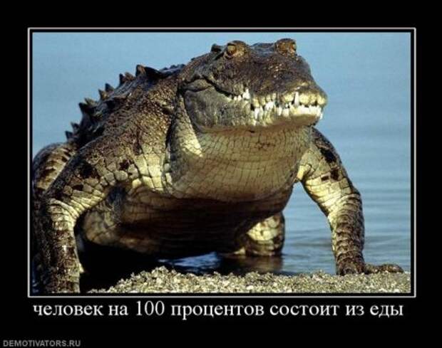 Демотиваторы со смыслом приколы, новая подборка.