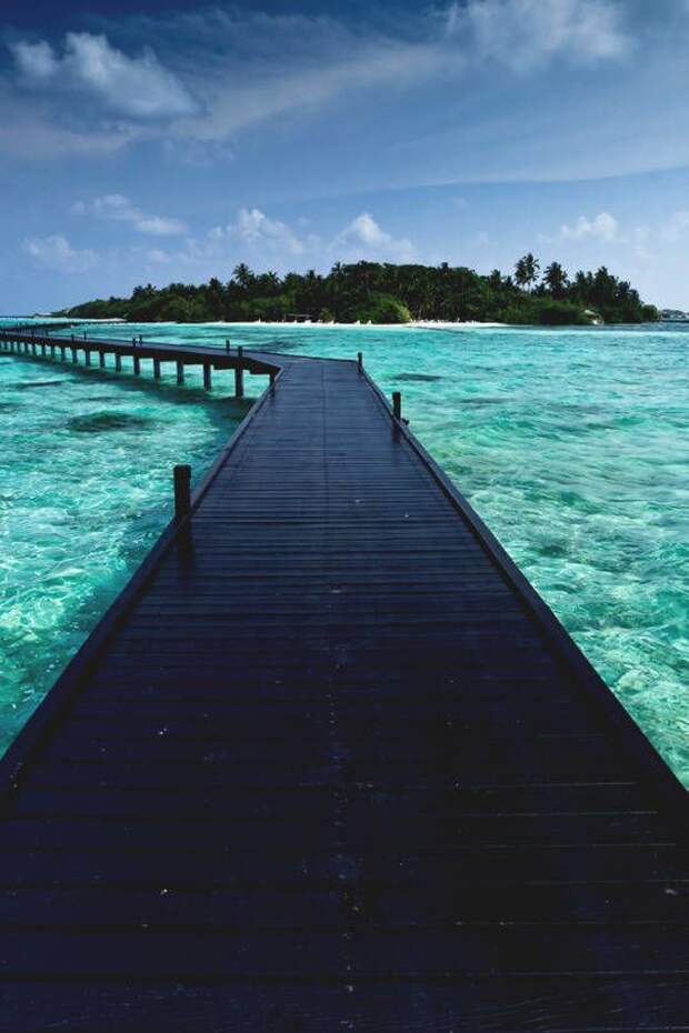 Прикольные картинки Прикольные картинки