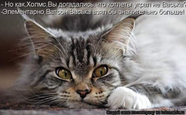 Забавные котоматрицы