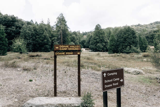 Palomar Mountain State Park-17.jpg