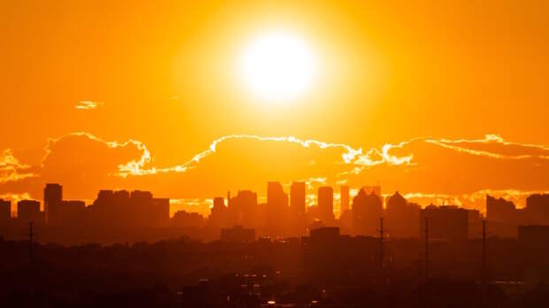 Летнее тепло установилось в регионах северо-запада России