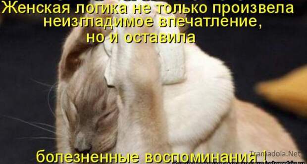 Летняя подборка Котоматриц 2010 - Выпуск 18