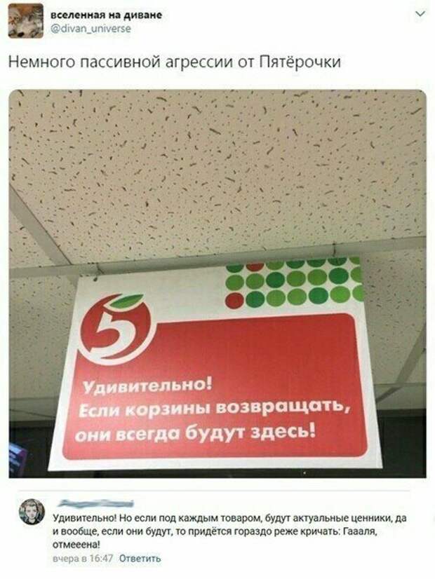 Пятёрочка, не тупи! мастера намёков, намекнула, намёки, послания, прикол, юмор