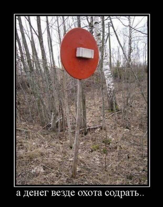 Демотиваторы (30 фото)