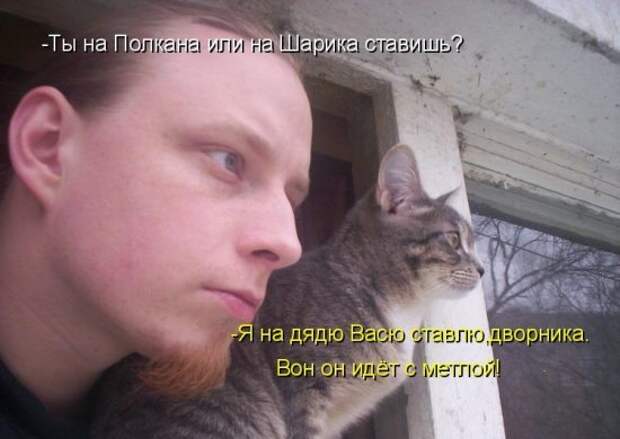 Котоматрица 12