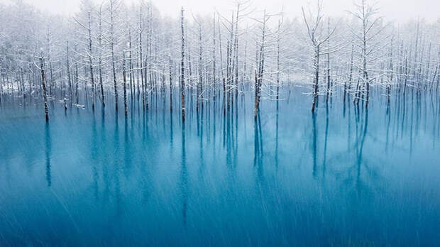 Новый фотопроект от National Geographic