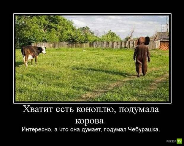 Демотиваторы на апрель (31 фото) Демотиваторы на апрель (31 фото)