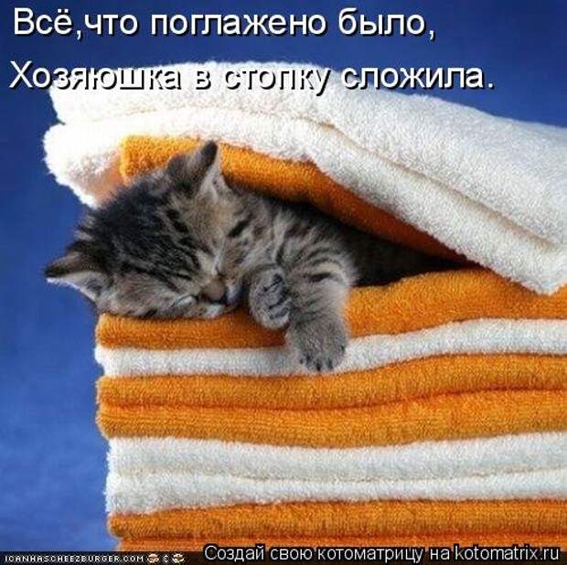 Новая котоматрица (36 фото)