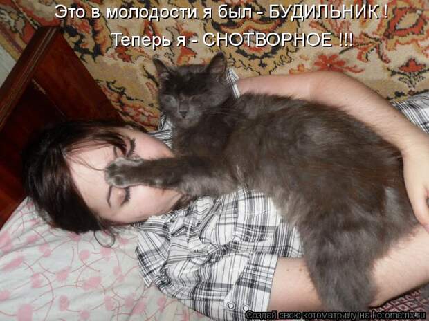 Котоматрица - Это в молодости я был - БУДИЛЬНИК ! Теперь я - СНОТВОРНОЕ !!!
