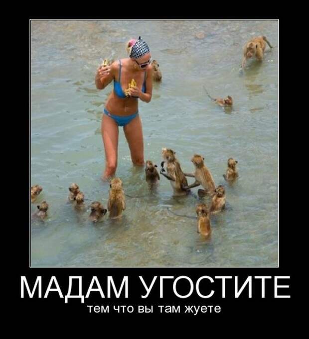Подборка демотиваторов демотиваторы, юмор