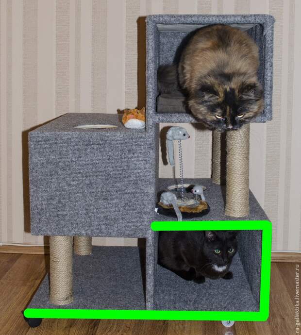 кошачий дом кошачий дом