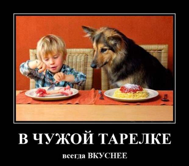 Демотиватоы любой день прикольным сделают.