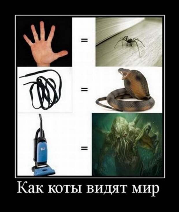 Приколы демотиваторы, смешные надписи и фото.