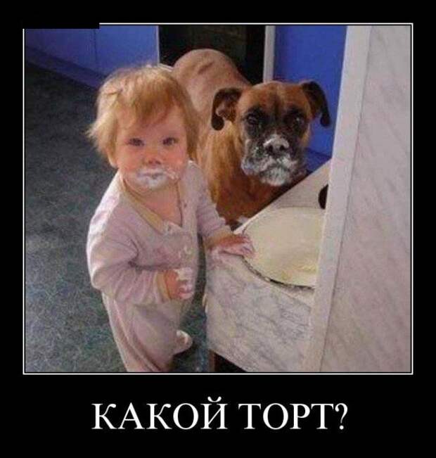 Демотиваторы (30 фото)