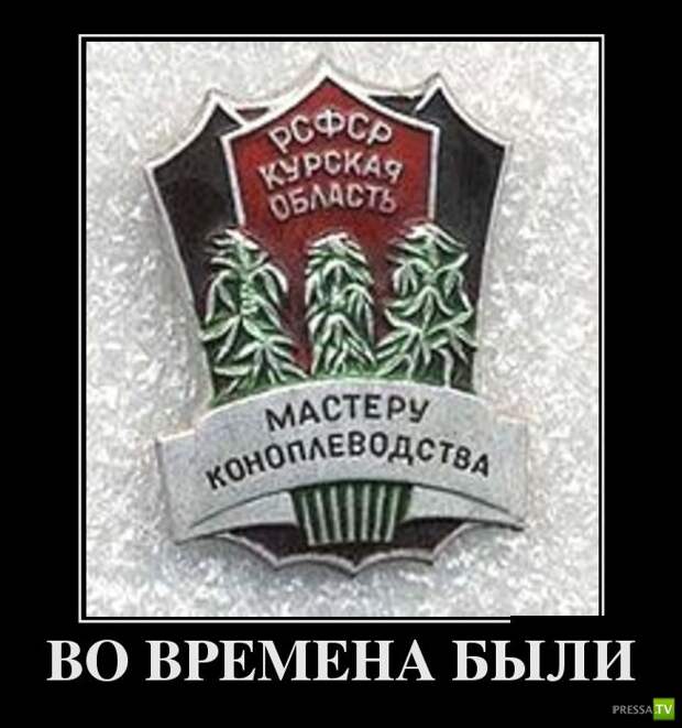 Демотиваторы на июль, часть 7 (29 фото) Демотиваторы на июль, часть 7 (29 фото)