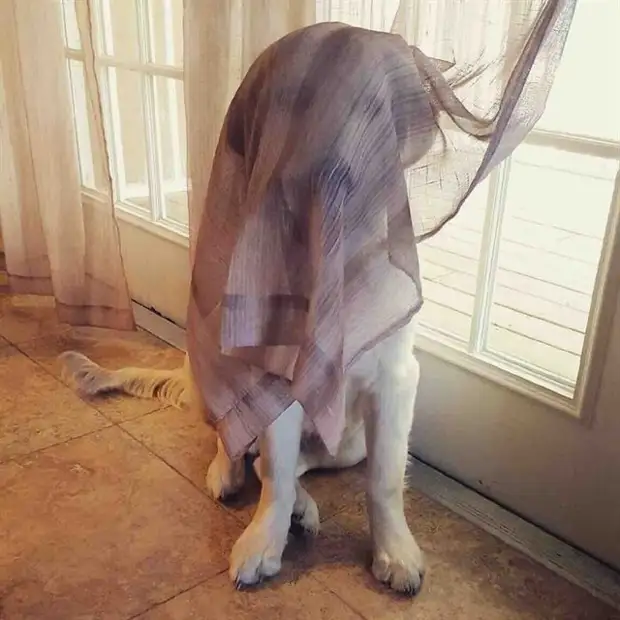?