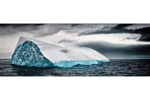 Фото Антарктиды 4 – Фотограф Алекс Бернаскони