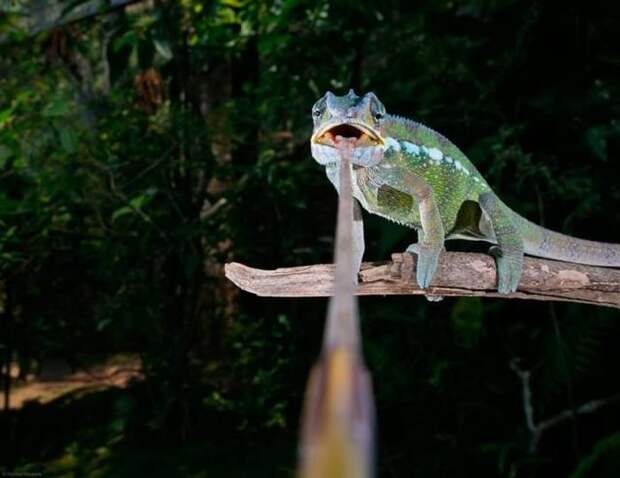 Прикольные картинки абавсём:D (06.08.15)