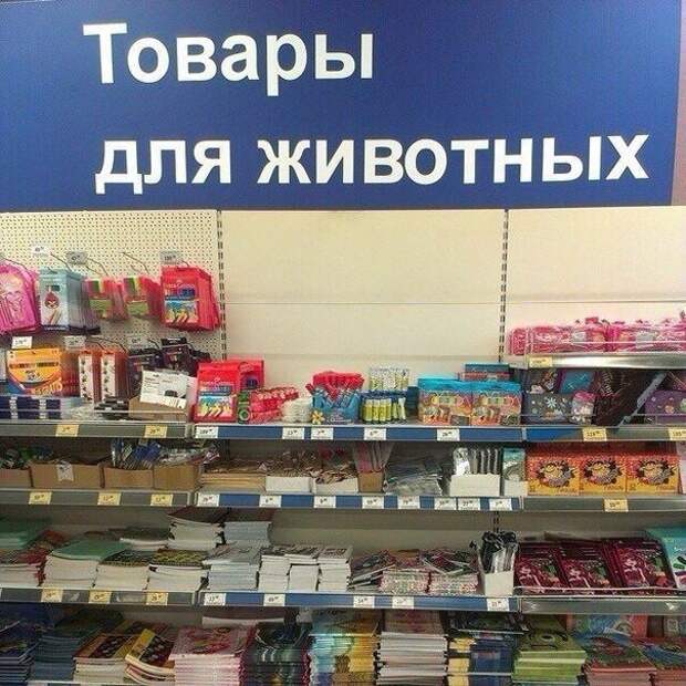 Прикольные надписи и объявления надписи, объявления, юмор