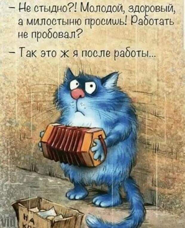 Картинка из интернета