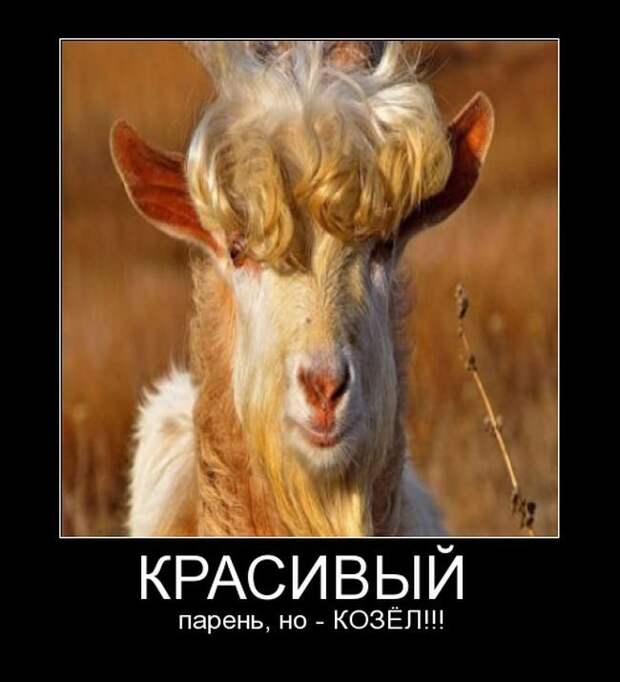 Развеселые демотиваторы
