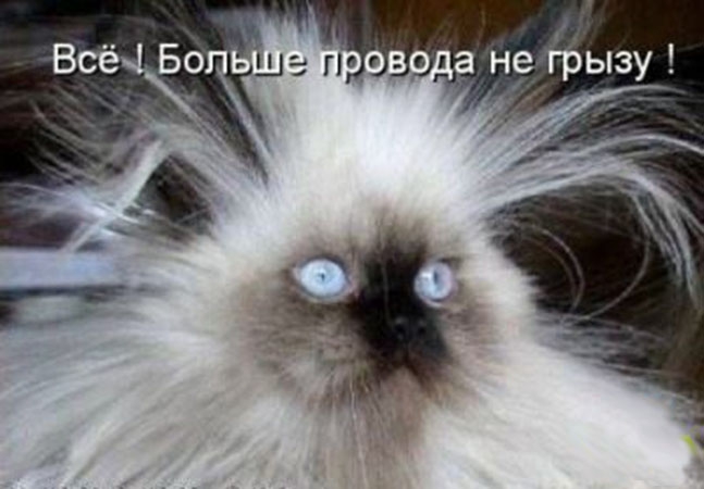 Фразы в картинках картинки, фразы