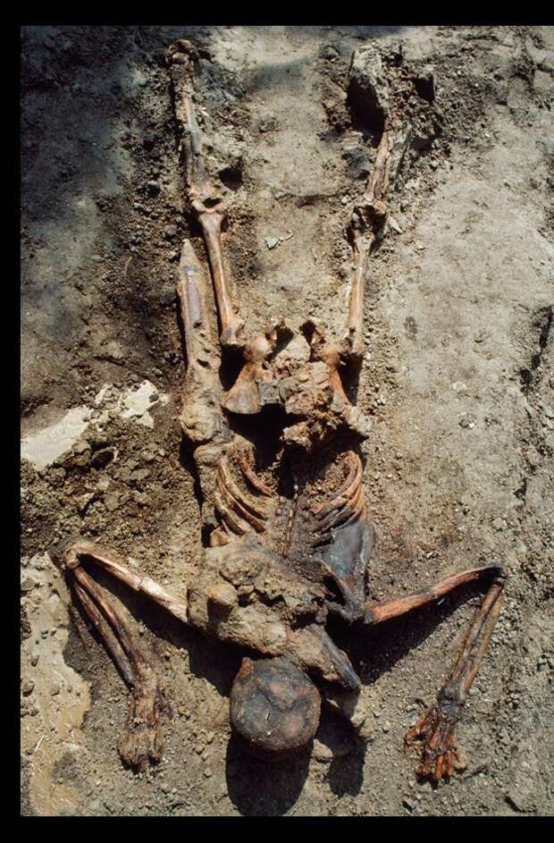 12. Римский солдат с мечом 12. Римский солдат с мечом люди, мир, фотоподборка
