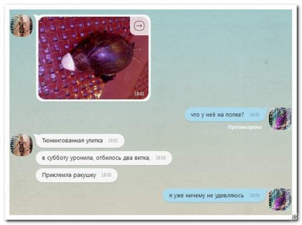 Словесные перлы из интернета 3