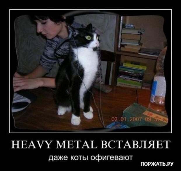Демы как они есть