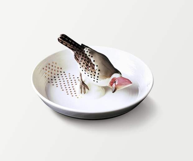 terraoko-20150312020 (4)