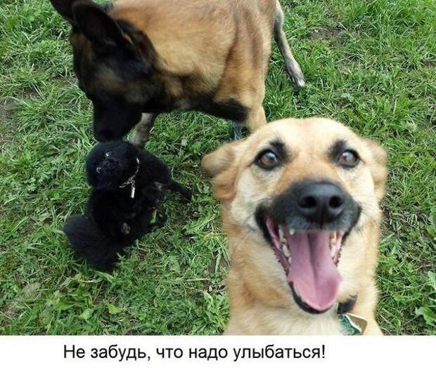 Уроки выполнения себяшек селфи, урок